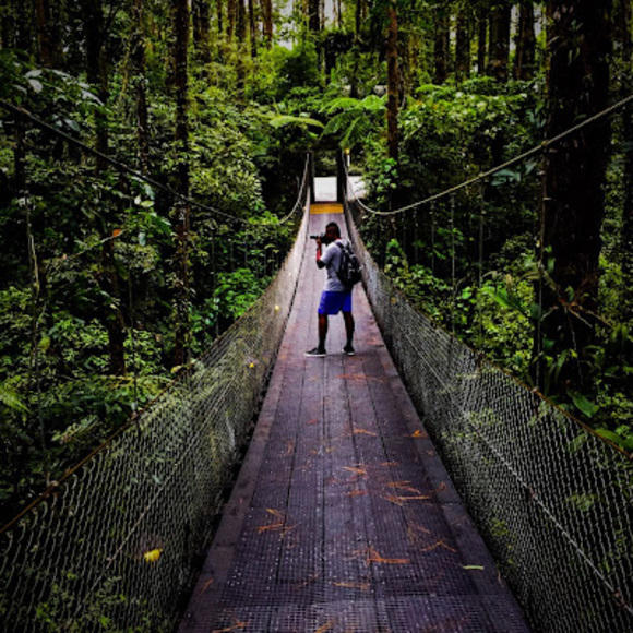 Meet your Posher, Darius - Picture 1 of 1